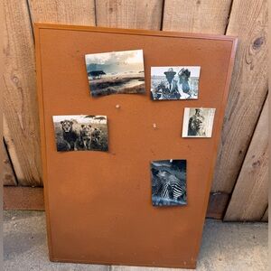 Rustic Brown Bulletin Board with Animal Photos Safari Photos Safari Party Decor